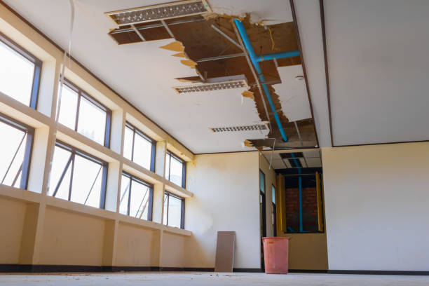 Best Water damage contractors near me  in Groesbeck, OH