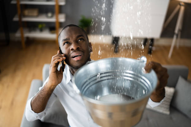 Best Professional water damage repair  in Groesbeck, OH