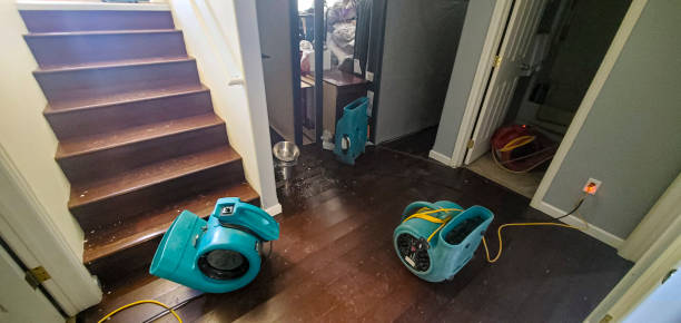Best Local water damage restoration  in Groesbeck, OH