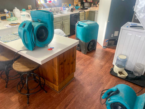 Trusted Groesbeck, OH Water damage restoration Experts