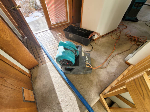 Best Fire Damage Restoration  in Groesbeck, OH