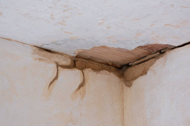 Best Mold removal after water damage  in Groesbeck, OH