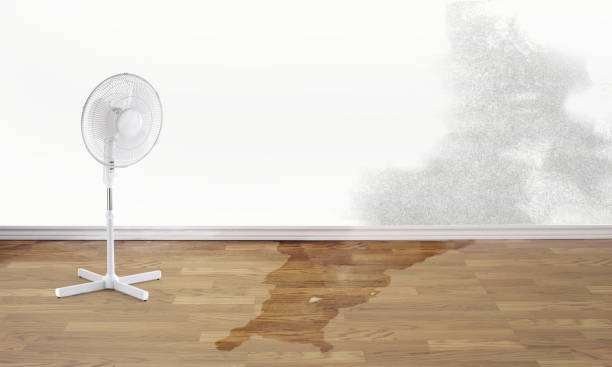 Professional Water damage restoration in Groesbeck, OH