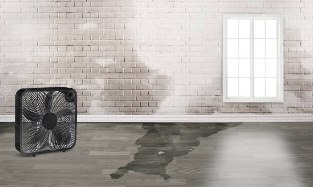 Best 24/7 water damage repair  in Groesbeck, OH