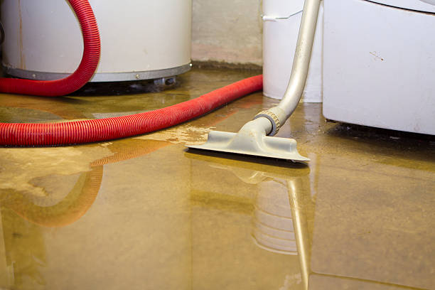  Groesbeck, OH Water damage restoration Pros