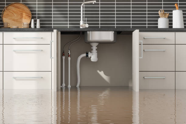 Best Sewage cleanup and water damage restoration  in Groesbeck, OH