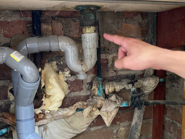 Best Mold removal after water damage  in Groesbeck, OH