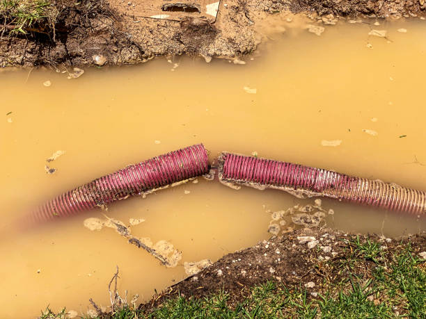 Best Water damage cleanup near me  in Groesbeck, OH