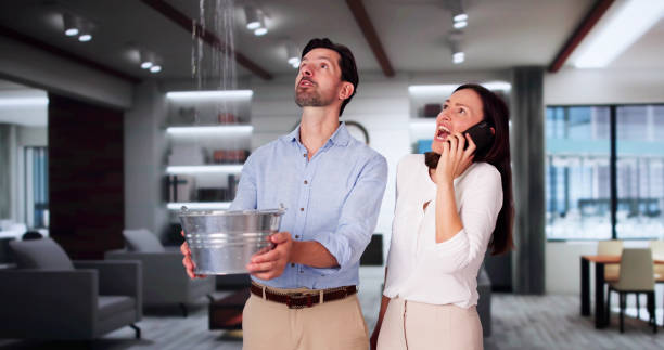 Best Water damage contractors near me  in Groesbeck, OH