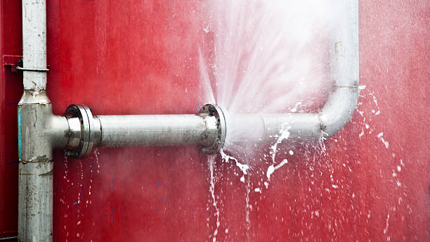 Best Carpet water damage restoration  in Groesbeck, OH