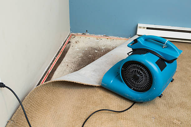 Best Sewage cleanup and water damage restoration  in Groesbeck, OH